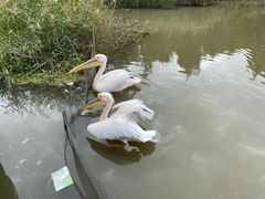 -宁波杭州湾国家湿地公园