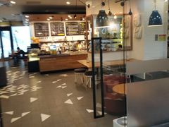 -油梨树 AVOCADO TREE(亮马桥店)