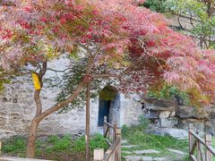 -香山公园