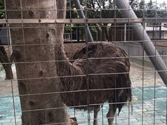 -迪茵湖田家舍生态农场
