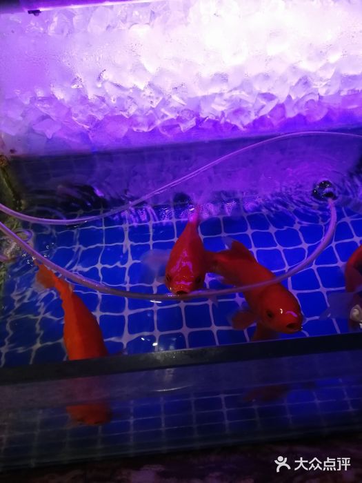 AdD全日制餐厅(中谷花园酒店)图片