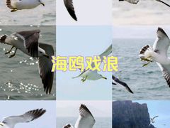 -长岛南北长山旅游景区