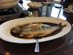 -茶港食堂(武昌店)