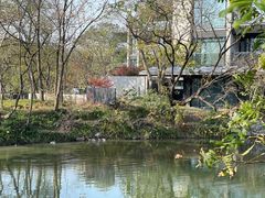 -木守西溪溪隐餐厅