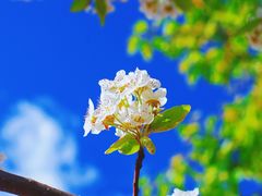 -丽江泸沽湖景区