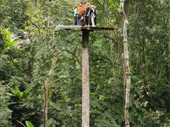 -西双版纳原始森林公园