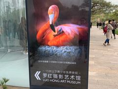 门面-罗红摄影艺术馆