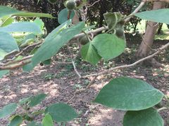 -北运河水利风景区