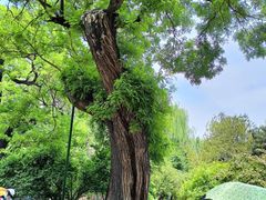 -晋祠公园
