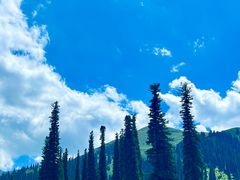 -新疆那拉提国家旅游度假区