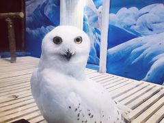 -成都浩海立方海洋公园