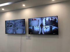 -中央芭蕾舞团·中芭艺蕾(酒仙桥明星校区)