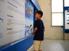 -上海海洋大学鱼文化博物馆(军工路校区)