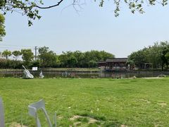 -鹅湖玫瑰文化园