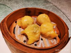 -觅唐MITONG(鸟巢店)