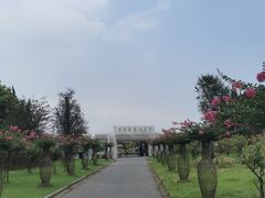 -东平国家森林公园