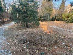 -绿岛公园(滨海新区)