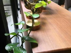 -渝半城经典川粤菜(重庆天地店)