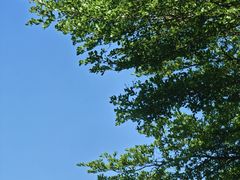 -深圳特区报业大厦