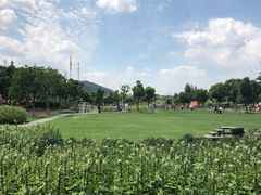 -田园东方蜜桃村的田野营地