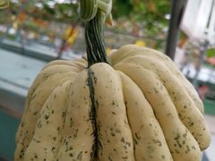 景点-盈香心动乐园