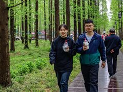 -黄海国家森林公园