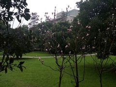 -武汉大学-樱园