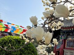 -西安市广仁寺