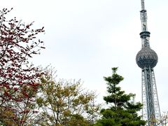 -文华公园(禅城区)