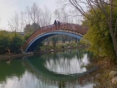-洋湖国家湿地公园