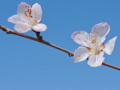 -朝阳公园