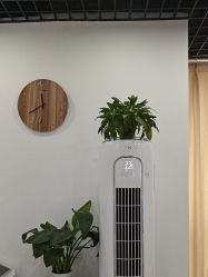 -Cream88颜皮肤管理中心