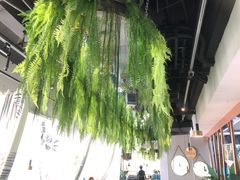 -三个椰子·现砍椰子鸡(金源CBD店)