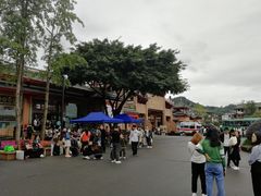 -峨眉山报国寺