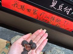 -青桃餐厅