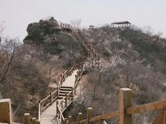 -大岭沟猕猴桃谷风景区