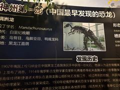 -嘉荫恐龙国家地质公园