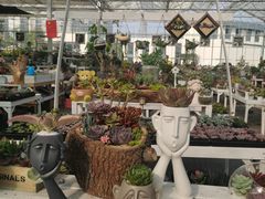 -三圣花乡旅游区