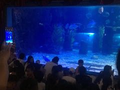 -台州海洋世界