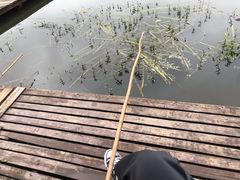 -同銮特种养殖场·龙虾垂钓