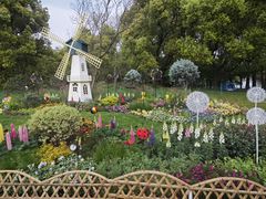 -上海共青森林公园