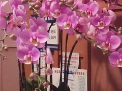 -LANN I蘭泰式古法按摩(江湾里店)
