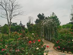 -东莞植物园