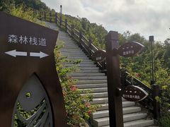 -东澳岛