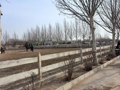 -北京群众马术培训基地