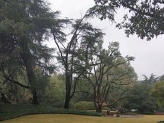 -浙江大学(玉泉校区)