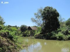 -大湾区中央湿地公园