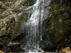 -江西阳明山国家森林公园