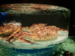 -许家菜.艺创菜(仁和新城店)