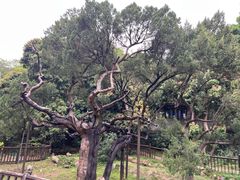 -草庵摩尼教遗址公园